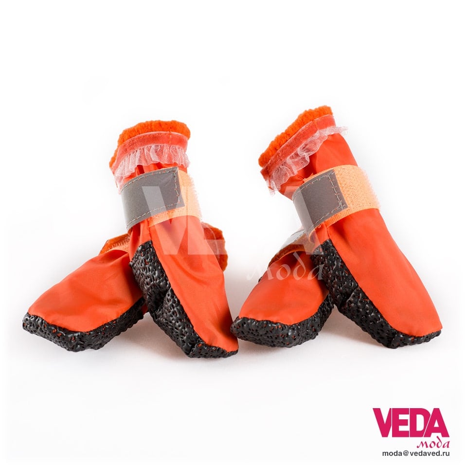 footwear