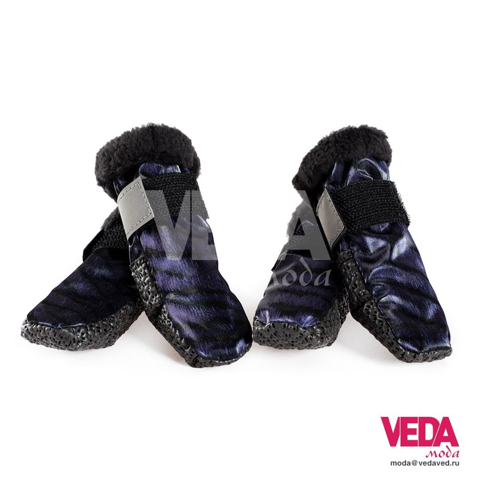 footwear