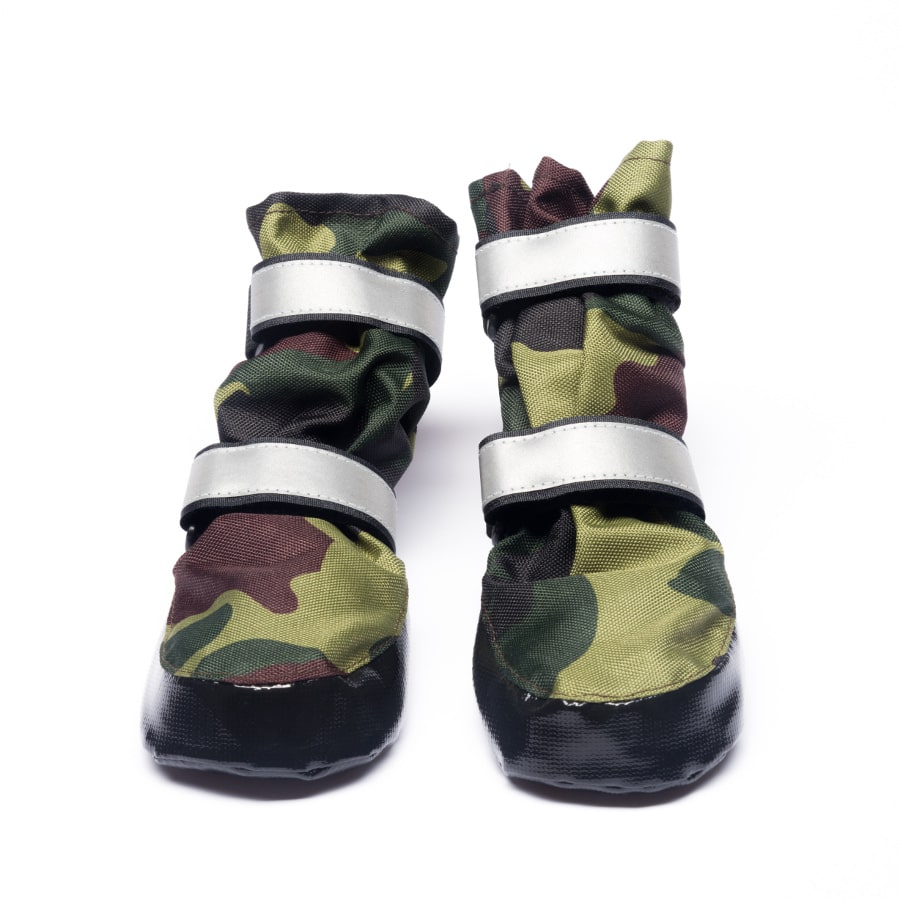 Передняя пара footwear